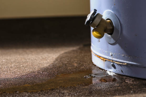 Best 24/7 water damage repair  in Aromas, CA