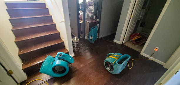  Aromas, CA Water damage restoration Pros