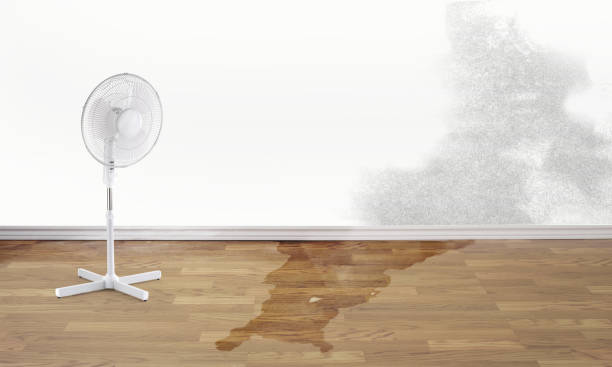 Best Flood damage cleanup  in Aromas, CA