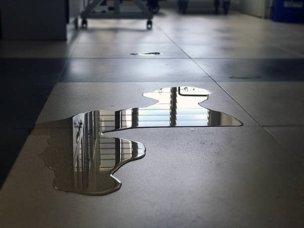 Best 24-hour water damage restoration  in Aromas, CA