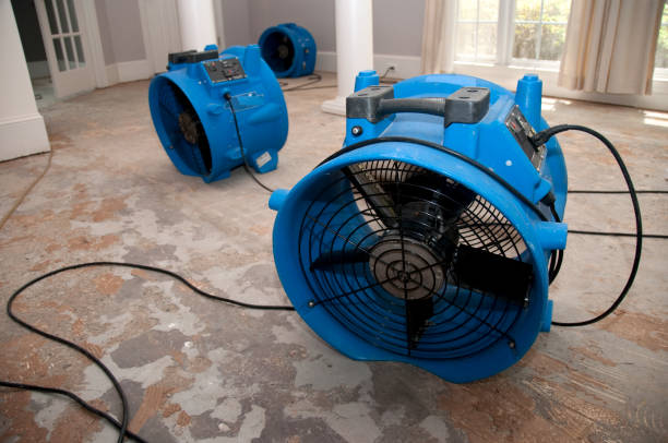 Best Residential water damage restoration  in Aromas, CA