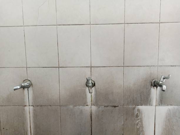 Best Sewage cleanup and water damage restoration  in Aromas, CA