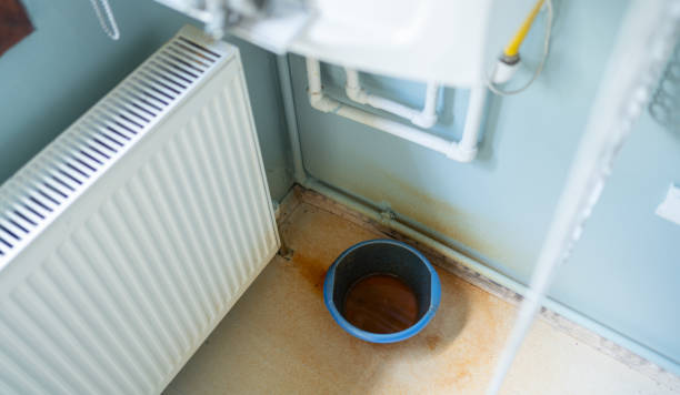 Best Flooded house restoration  in Aromas, CA