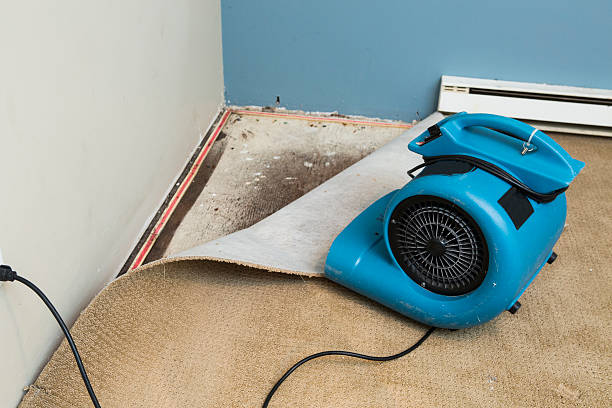 Local water damage restoration in CA
